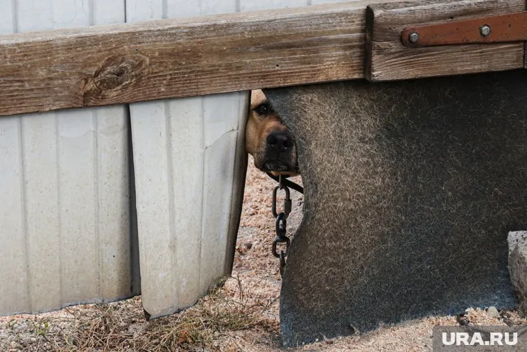 Инцидент произошел вечером 14 октября