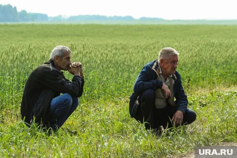 Компания зарегистрировала право собственности на участок, но переводить деньги его бывшему владельцу отказалась