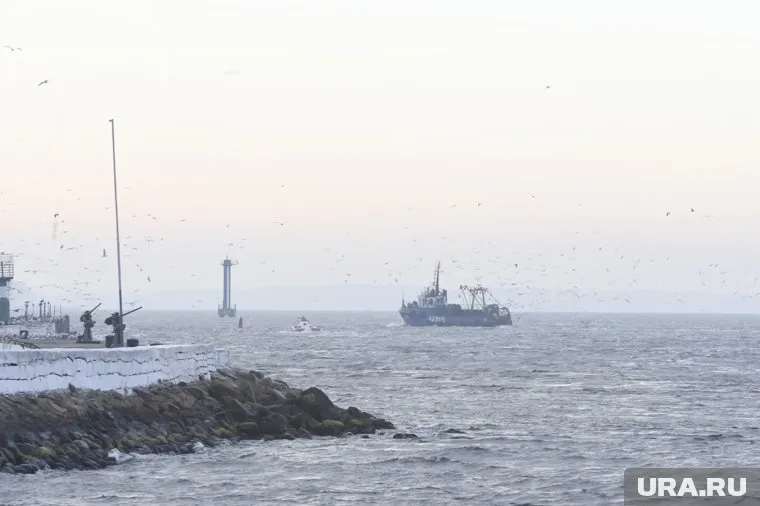 Украина беспорядочно минировала Черное море, заявили в МО РФ