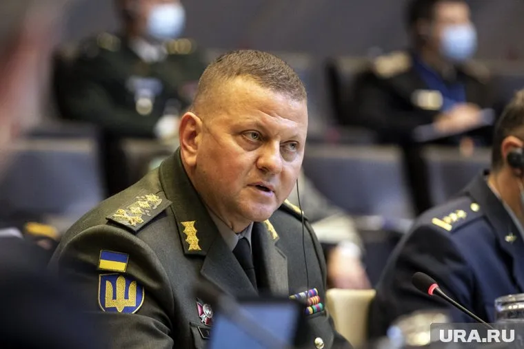 Валерий Залужный обсудил с Энтони Радакиным провал контрнаступления Украины