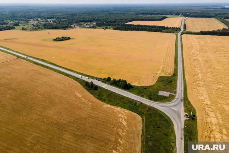 Свердловская область поставляет продукцию агропромышленного комплекса в десятки стран