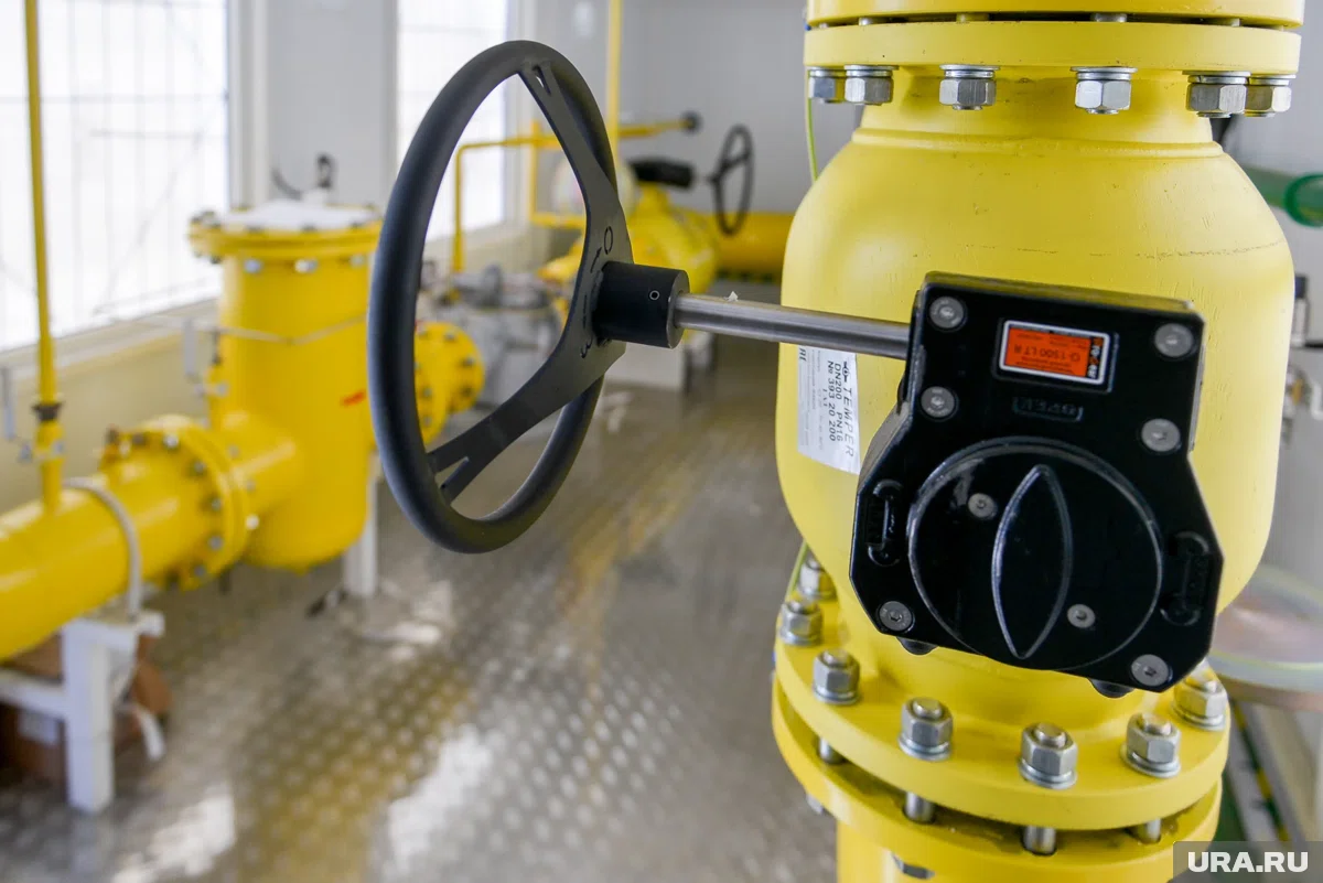 На бывшие акции Михаила Юревича в «Челябинскоблгазе» покупателя не нашлось 