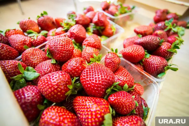 В тюменских магазинах начали продавать клубнику