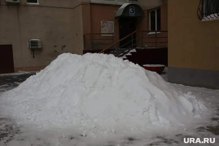 Горожане «наладили бизнес» после обильного снегопада