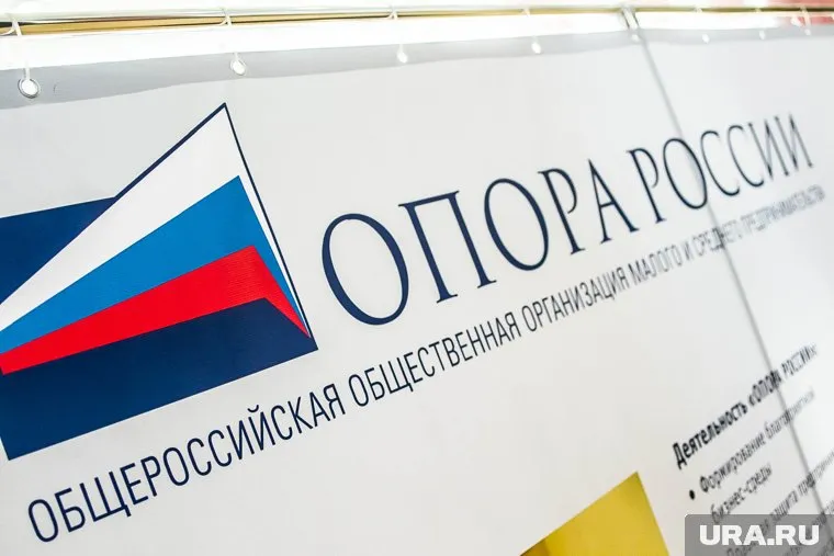 Предпринимательница Ирина Снегирева создала проект онлайн-приложения «Опора России»