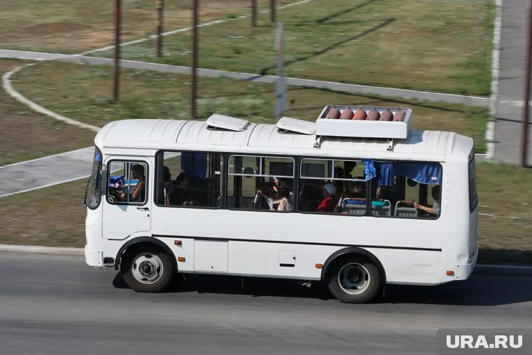 ДТП с автобусом произошло 23 августа (архивное фото)