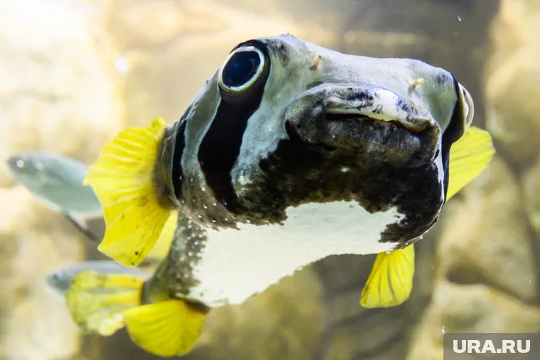 Свердловские рыбаки бережно относятся к природе (архивное фото)