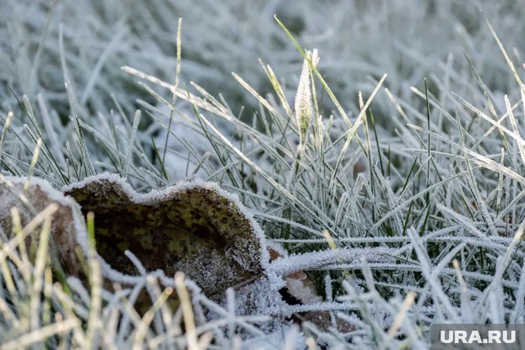 Порывы ветра будут достигать 7-12 м/с