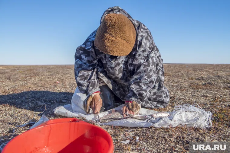 Форум КМНС продлится до 21 ноября