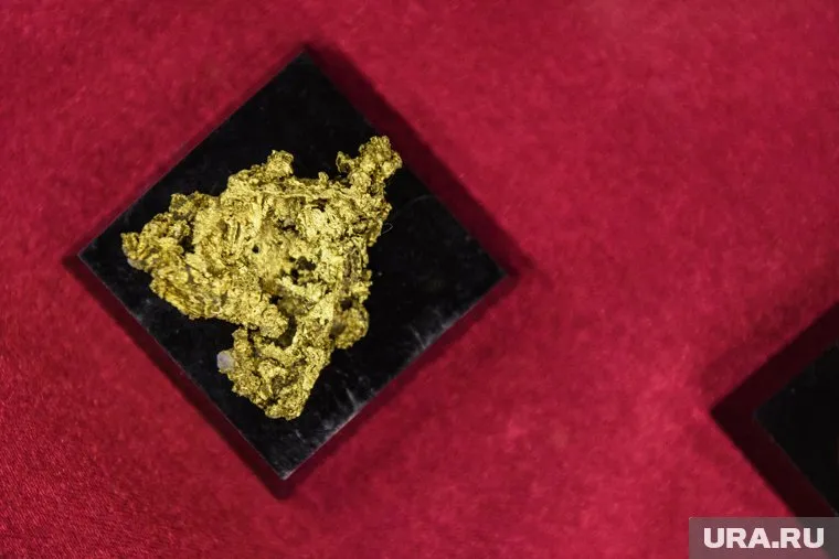 Суд решил вернуть золото скифов Украине