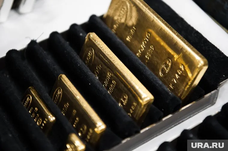 У «Ямалзолота» образовался многомиллионный долг