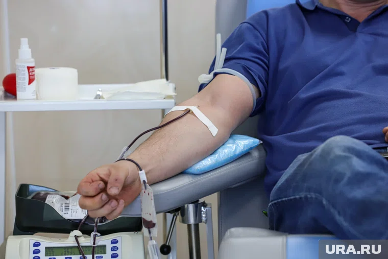 Шестеро ноябрян стали почетными донорами РФ