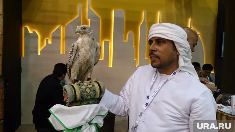 Власти ХМАО планируют заручиться поддержкой от ОАЭ в рамках кинофестиваля