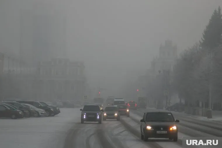 На дороги в Курганской области опустился густой туман