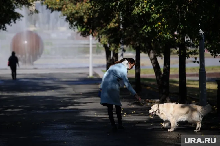 Теперь будут наказывать владельцев собак, чьи животные проявляют агрессию или отпущены на самовыгул