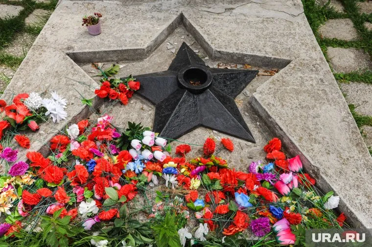 Женщину обвинили в вандализме