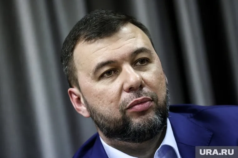 Заявления о взятии ВСУ Андреевки являются вбросом, заявил Денис Пушилин