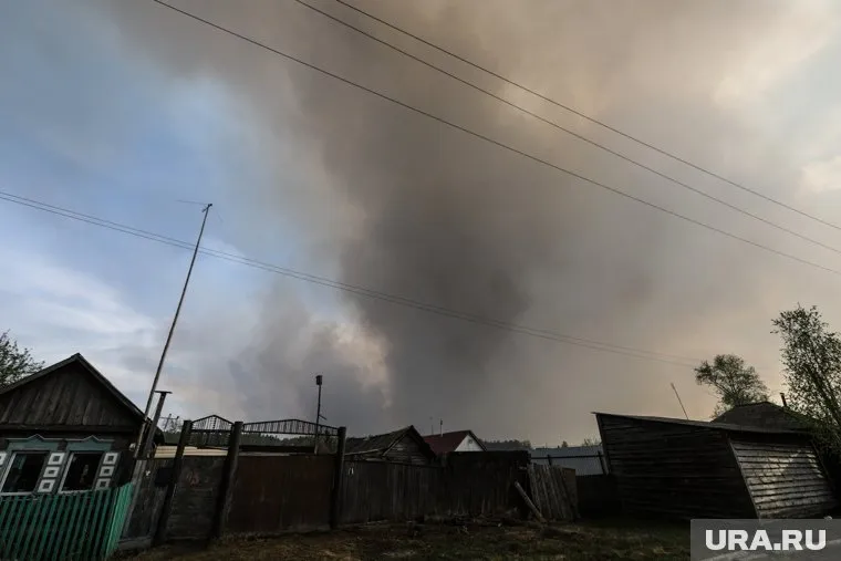 В Курганской области лесной пожар остановили возле деревни (архивное фото)