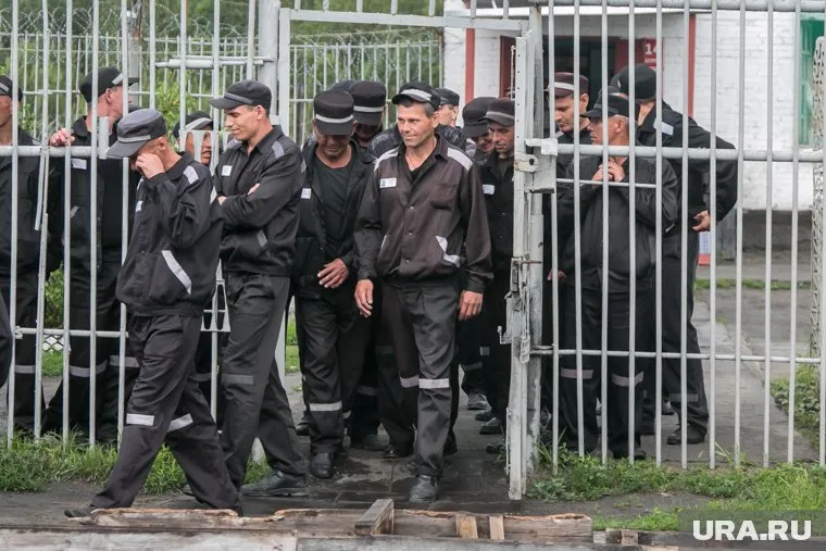 Курганские заключенные заявили, что им не хватает еды