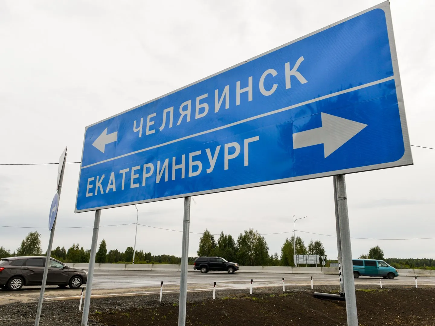 Секс мультфильмдері