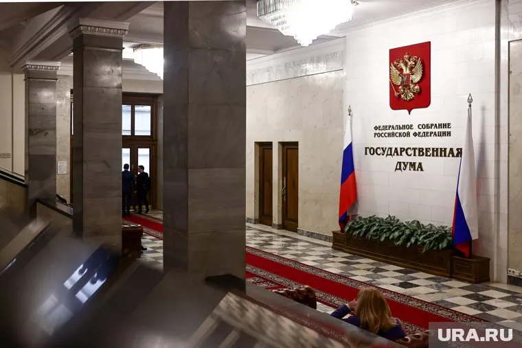 В России ЛДПР предложила ужесточить правила выдачи маткапитала