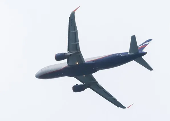 Фотография из галереи