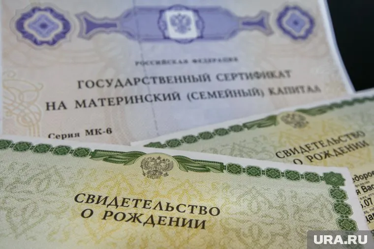 В курганский суд вернули на пересмотр дело ОПГ, похитившей средства маткапитала