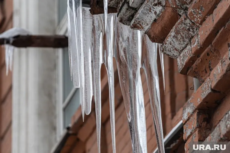 Синоптик — любитель спрогнозировал теплый и снежный февраль в Кургане