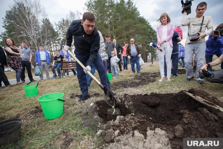 Евгения Куйвашева ждут на субботнике в детской больнице