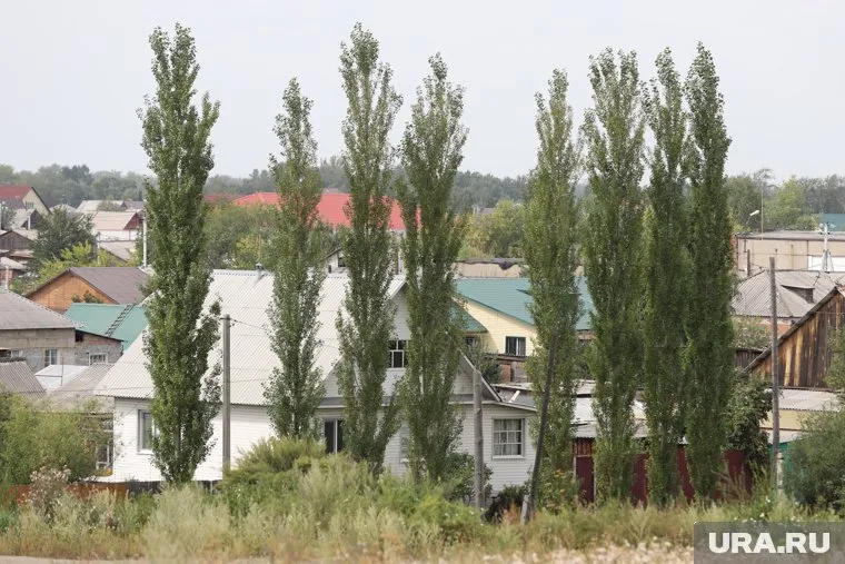 Поселок разместят на территории площадью 17,4 га