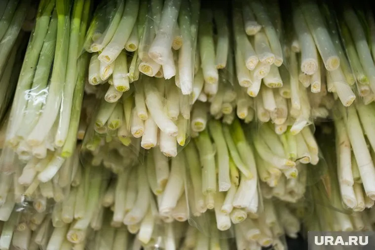Большое количество зеленого лука сейчас редко можно встретить на полках магазинов Перми