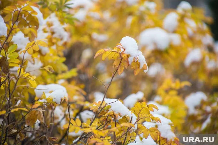 На Урале прогнозировали мокрый снег