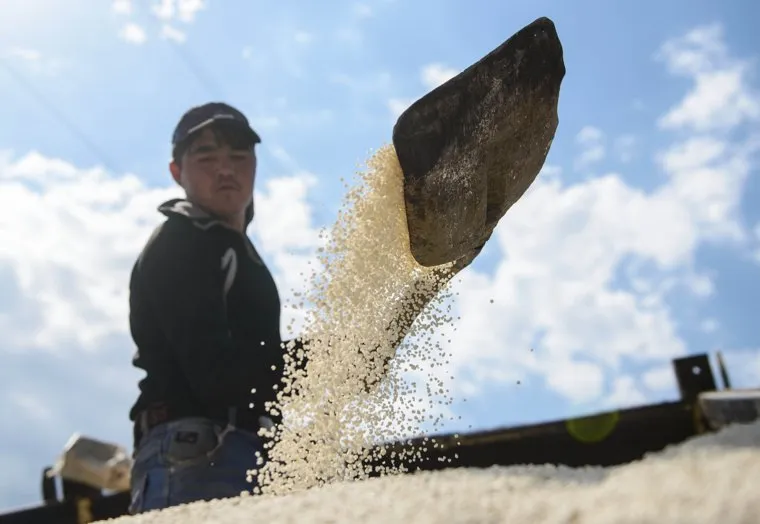 Сельхоз "Битимский". Битимка