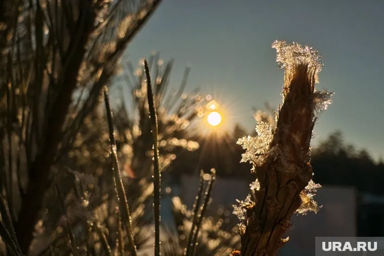 В Курганской области температура воздуха ночью опустится до -17 градусов