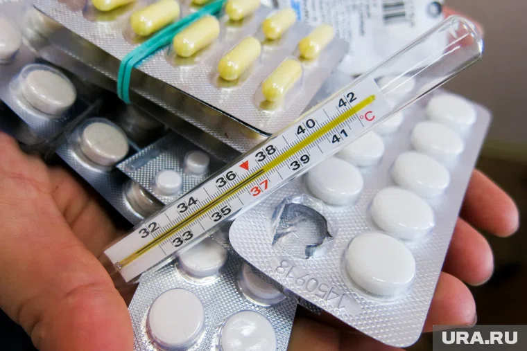 В Курганской области выявили 94 случая гонконгского гриппа А (H3N2)