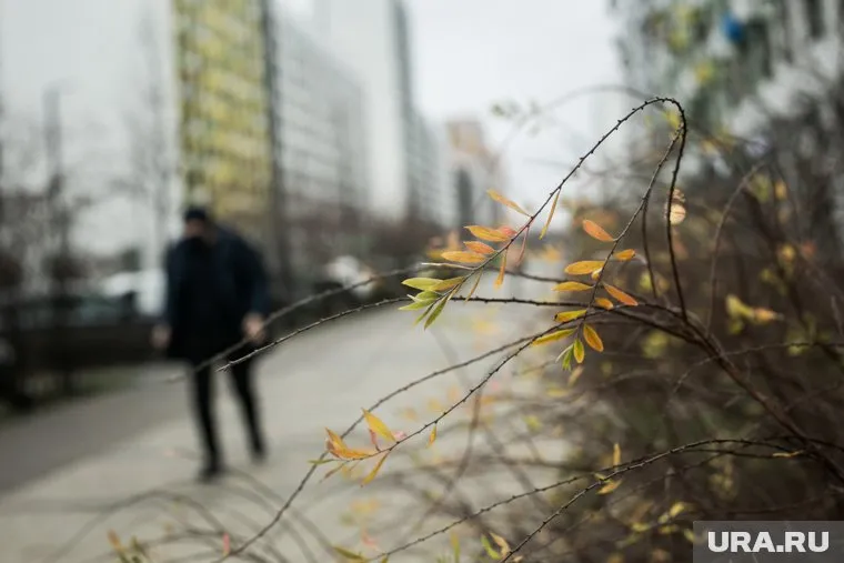 Мужчина уехал в Киргизию после совершения преступления