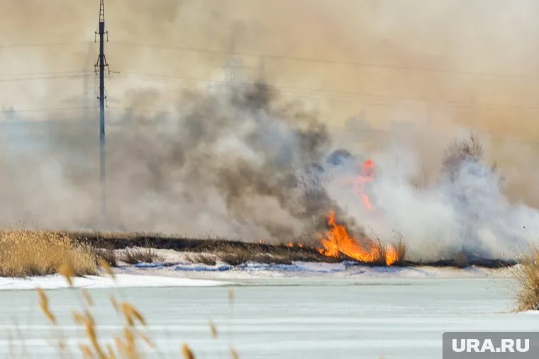 Ландшафтные пожары пришли в Нагайбакский район Челябинской области (архивное фото)