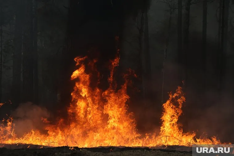 Курганцев просят соблюдать правила пожарной безопасности из-за погоды (архивное фото)