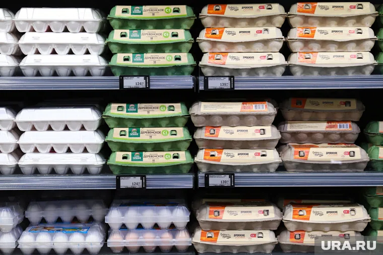 Отгрузка куриного яйца полностью приостановлена