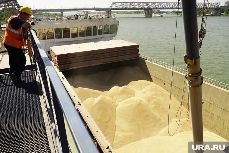 Польша и Венгрия прекратили импорт зерна сельхозпродуктов с Украины, пишет Reuters