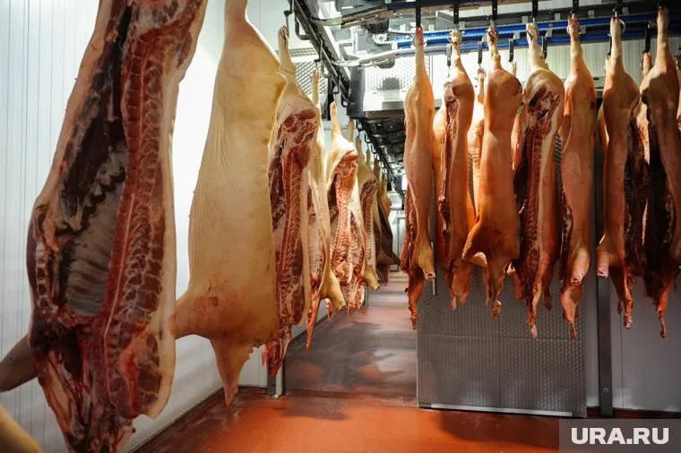Цены на мясо в 2023 году будут расти