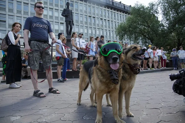 Акция против контактных зоопарков. Пермь, собаки, памятник попову, акция, домашние питомцы, зоозащитники