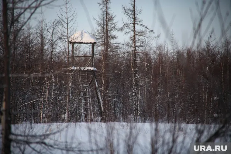 Объекты «Стройки 501» известны как памятники времени сталинских репрессий