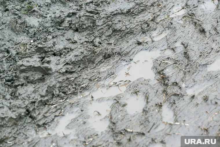 Владимир Рогов заявил, что наступательная техника увязнет в грязи на Запорожском фронте