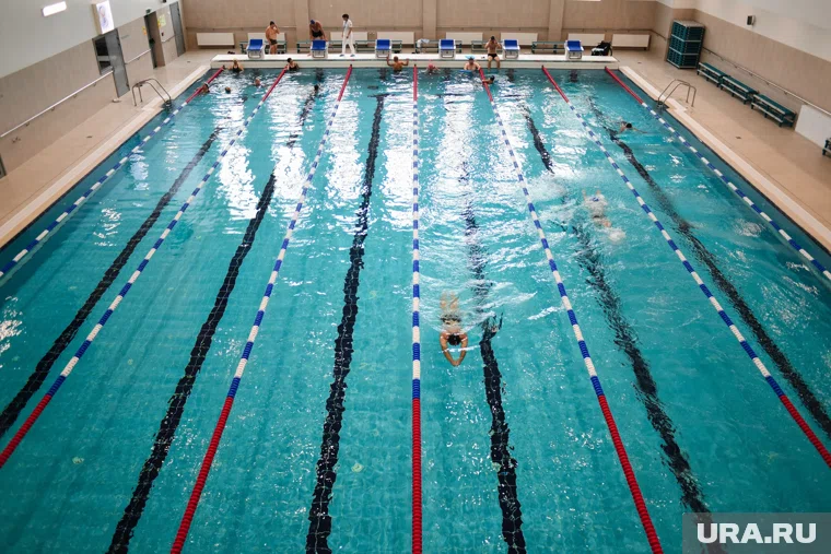 Проект бассейна одобрила госэкспертиза 