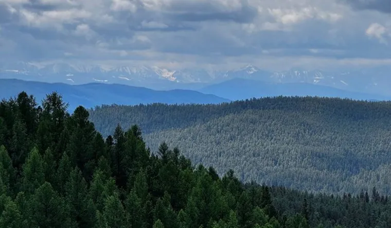 Алтай в последнее время стал магнитом для туристов