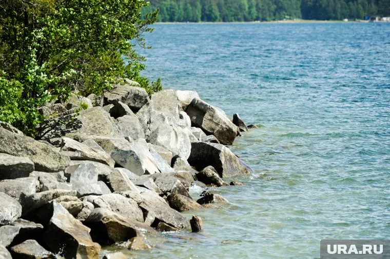 Жара спровоцировала цветение водорослей на Тургояке