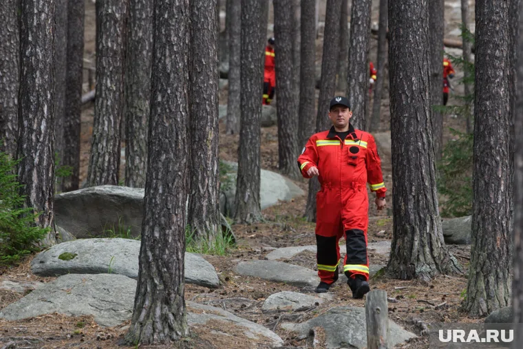 Поисковики за последние сутки прошли 161 километр (архивное фото)