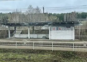 Появилось фото предполагаемого убийцы женщины на жд-станции в Екатеринбурге