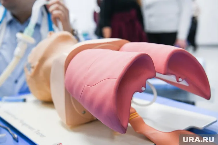 Вспышки инфекции не ожидается, врачи сообщают об ожидаемом приросте заболеваемости